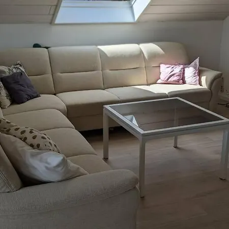 Lichtdurchflutete Dg-wohnung * Steinenbronn